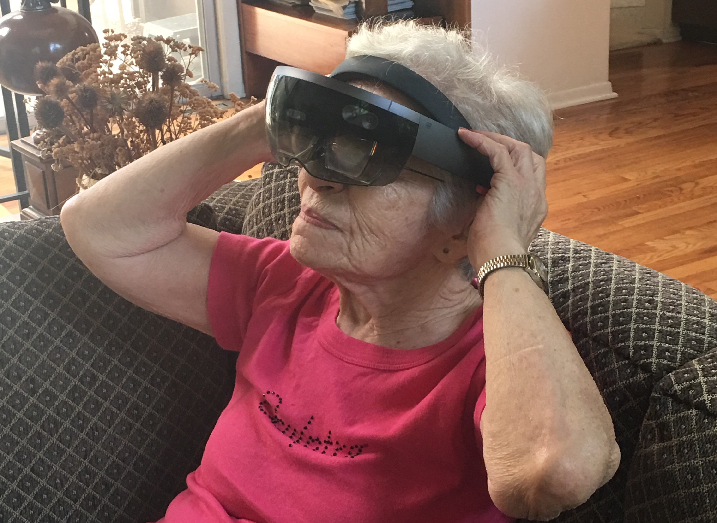 AR Goggles